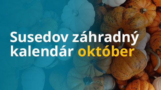 susedov-kalendar-oktober